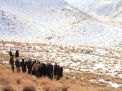 گزارش تصویری از کارگاه آموزشی متالوژنی(فلزایی) ایران - نمایشگاه سنگ های زینتی و بازدید از معادن سنگ در معلمان